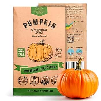 Pumpkinsさん専用 91CCyz-d+QL._UF350,350_QL50_.jpg